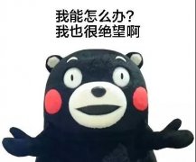 �����귢Ʊ��Ȩ����+ʵ��������ʽVS�Ϸ�˰��ƾ֤