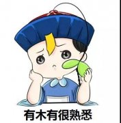 ���û�ơ�˰���������嵥�������Σ��10��