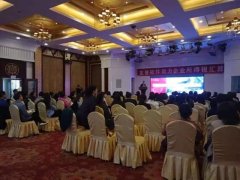 ���°ٳǽ���+����ר�һ���������ͨ��������������ж�